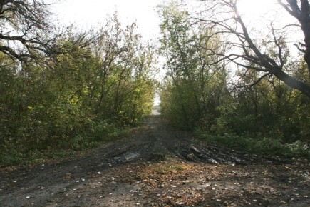 Дорога к усадьбе в селе Петровское